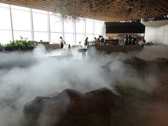 -Seesaw Coffee(朝阳大悦城店)