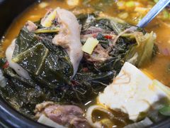 狗肉炖豆腐-老朴饭店(邮政街总店)