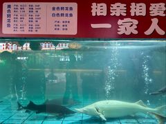 -年辉渔村·非遗传承餐厅(新丰江店)
