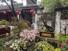 -惠山古镇·寄畅园