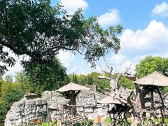 -上海野生动物园