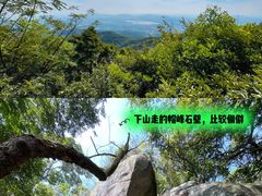 -广州市帽峰山景区