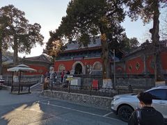 -大觉寺-停车场