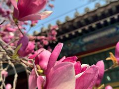 -潭柘寺景区