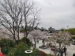 -石湖景区
