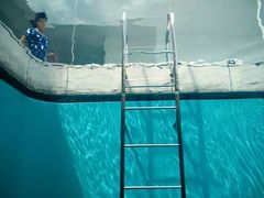 -金泽21世纪美术馆