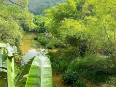 -大屏嶂森林公园