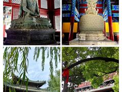 -隆兴寺