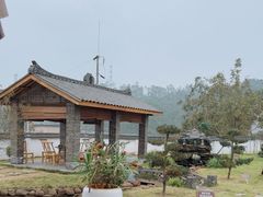 -马村鱼头