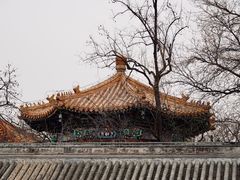 -南锣鼓巷