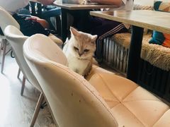-小时光咖啡馆(北锣鼓巷店)