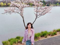 -羊山湖公园