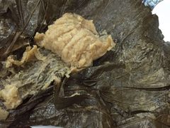 -梦江南