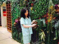 -盛世桃源(群力店)