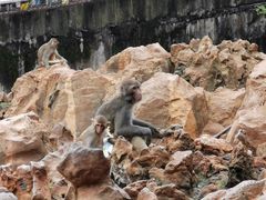 -昆明动物园