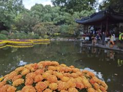 -汇龙潭