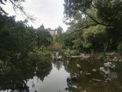 -叶家花园