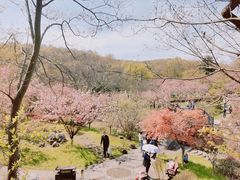 -南京市江宁方山