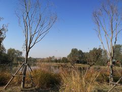 -东郊湿地公园
