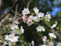 -乌山风景区