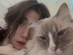 -滚猫咖啡·猫咖·猫友好撸猫(未来城店)