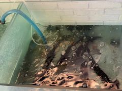 -红井路游艺炖锅·音乐餐吧(十渡店)