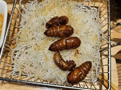 -鸽子窝(青塔店)