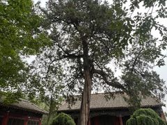 -玉泉观