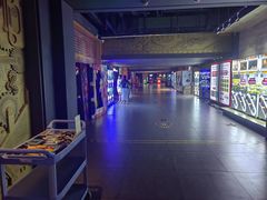 -新影联·华谊兄弟影院(望京店)