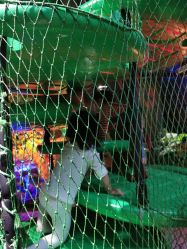 -恐龙探索乐园(磁器口店)