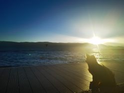 点击看大图 -韩国丽安形象设计