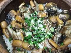 -红星光发煲仔饭(大石街店)