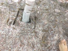 -金穗园温泉酒店