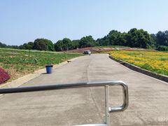 -保利石象湖景区