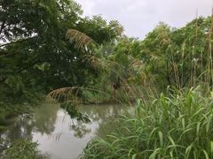 -梁鸿国家湿地公园