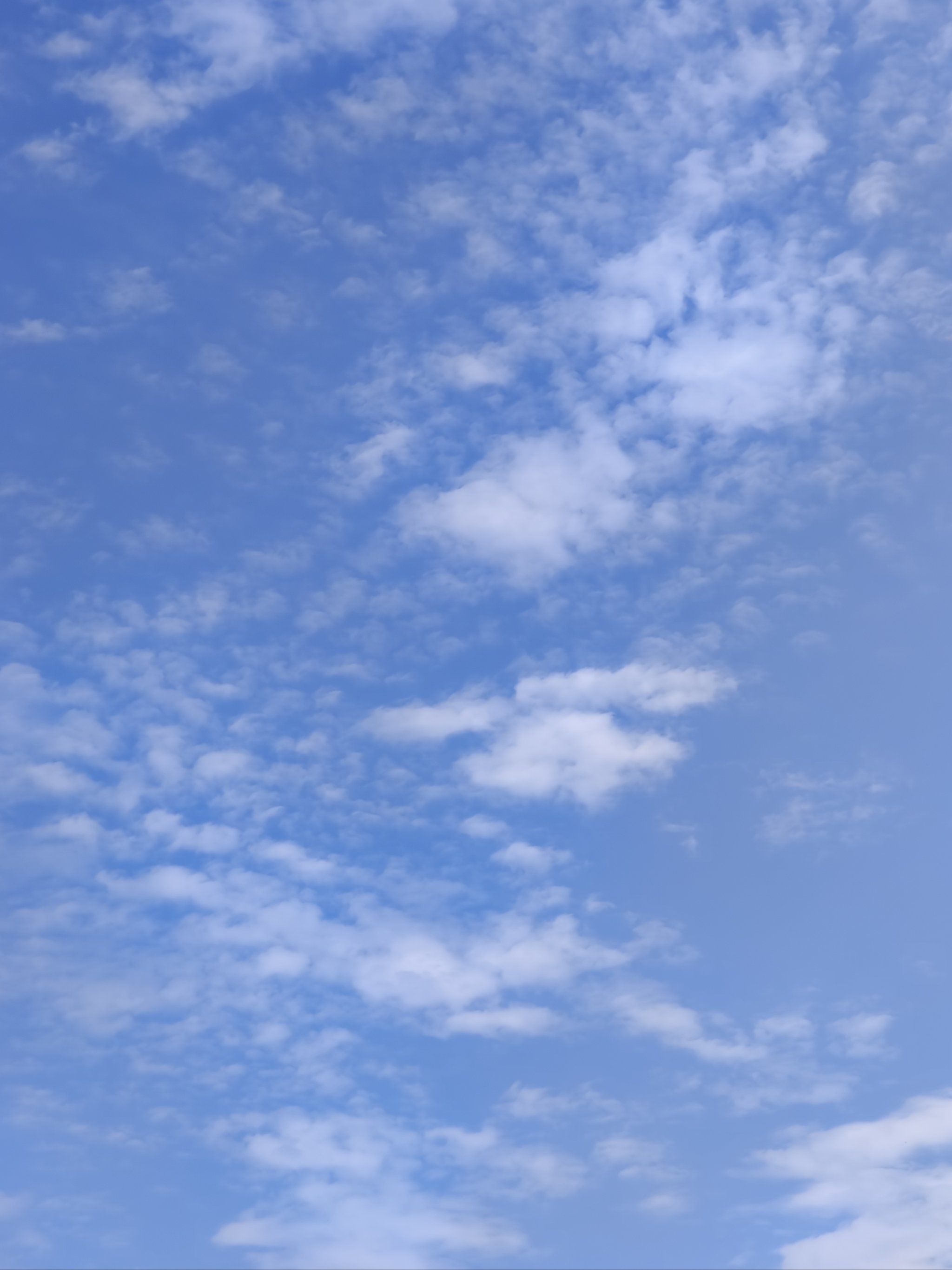 天空#随手拍天空#天空#遇到好看的天空分享给你#云层上的风景@点小浪