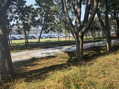 -水上明月·湖景餐厅