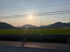 -李东农庄(中南百草园地标店)