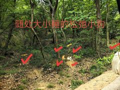 -灵岩山风景区