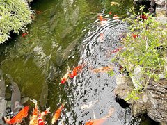 -顺德渔村·岭南一号