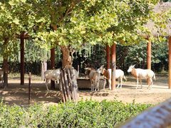 -济南野生动物世界