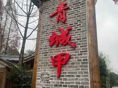 -青城甲(青城山店)