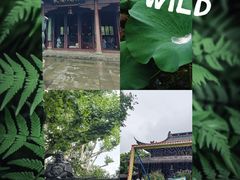 -钱王祠