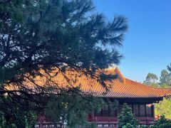 -三水森林公园