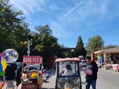 -保定市动物园
