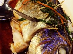 清蒸海鱲鱼-Hayam Hasini Chinese Restaurant 东海中餐厅 הים הסיני
