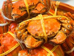 -蟹天蟹地农家菜·阳澄湖大闸蟹(浅水湾店)