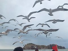 -海驴岛(荣成市)