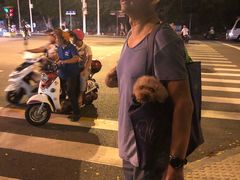 -三亚夏威夷大酒店