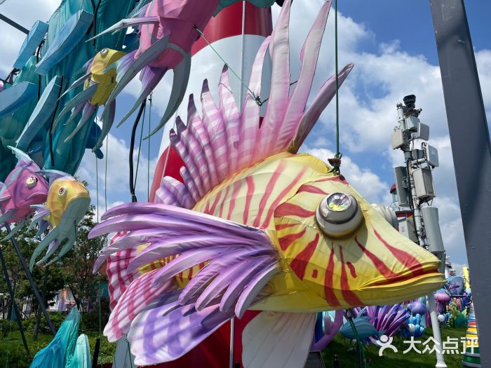 第34届青岛国际啤酒节图片